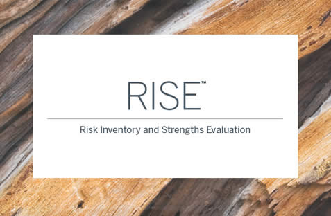 RISE ASSESSMENT